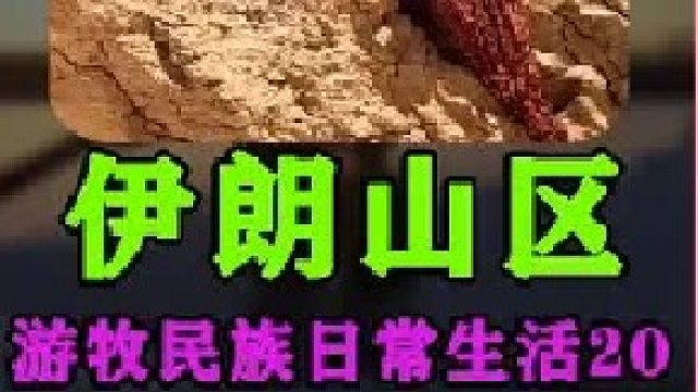 伊朗游牧民族妇女日常生活 (3)