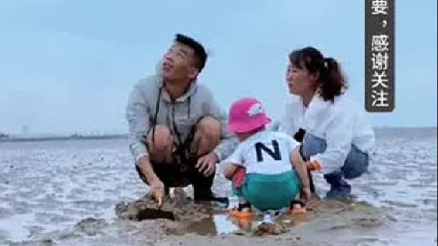 户外赶海抓海鲜