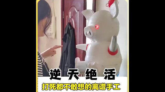 你绝对想不到的离谱手工 小脑都能干到萎缩