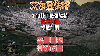 艾爾登法環(huán)DLC之1.13補丁版本最強輪椅拒絕的刺慘遭削弱