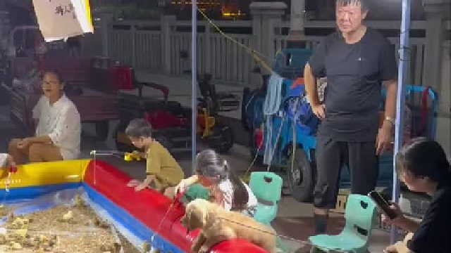 小狗的长相和性格是随主人的