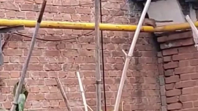 动物世界没有人情世故，只有弱肉强食