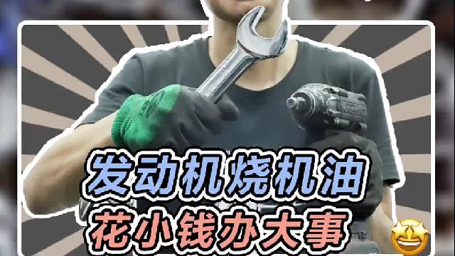 同一个厂家的同代发动机，一个烧机油一个不烧机油