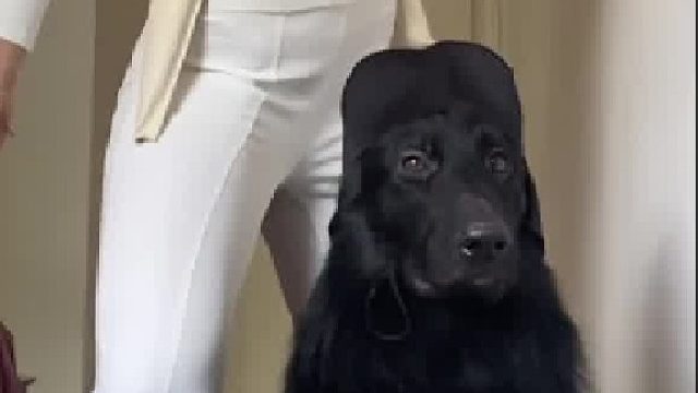 啥？星球大战吗？