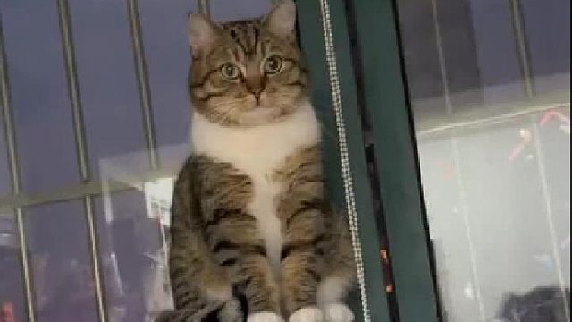 怎么一眨眼 就长大了呢