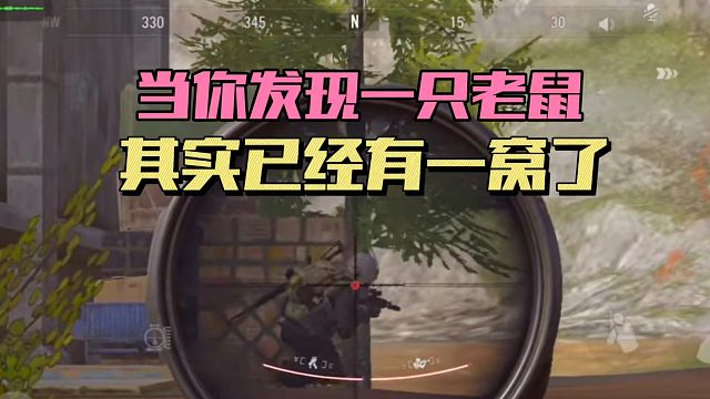 暗区突围：当你发现一只老师，其实已经有一窝了！