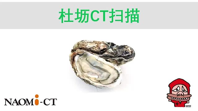 纳奥米科技naomi-ct-牡蛎CT彩超-桌面式CT-便携式CT-三维建模-台式显微CT-3D扫