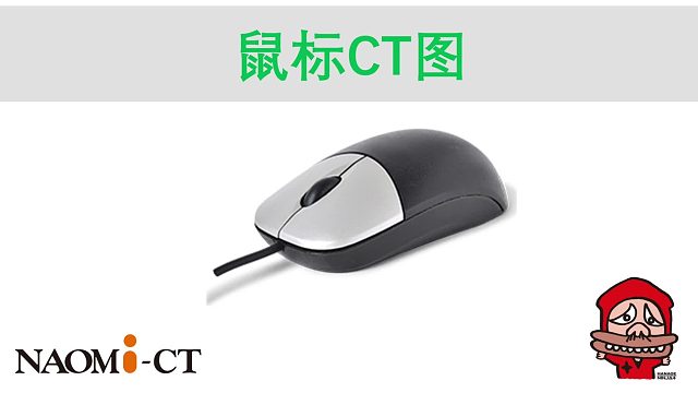 纳奥米科技naomi-ct-鼠标CT彩超-桌面式CT-便携式CT-三维建模-台式显微CT-3D扫描