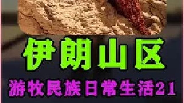 伊朗游牧民族日常生活上山砍柴  (2)