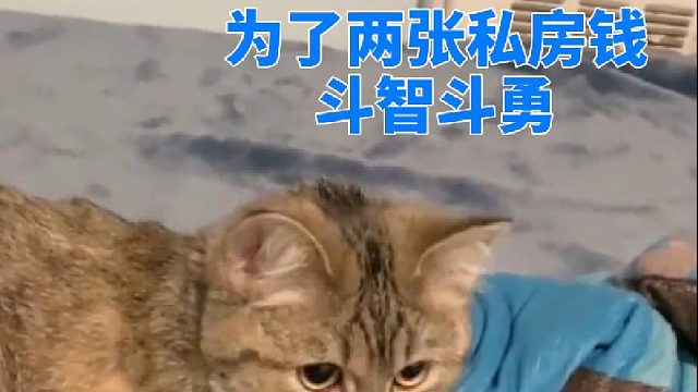 为了两张私房钱斗智斗勇