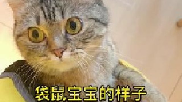 我单方面宣布这次选择无效