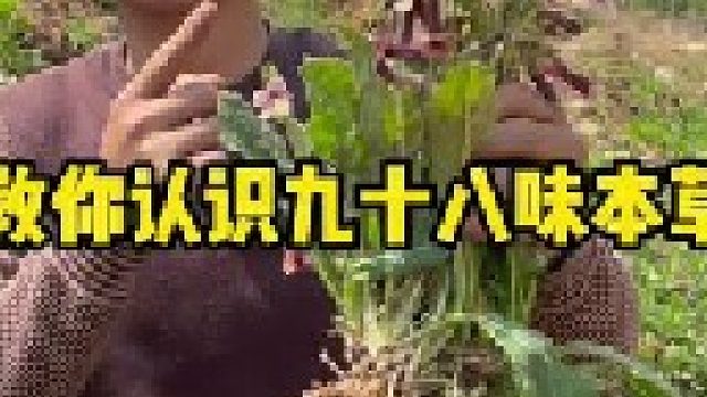 今天整理了咱们身边常见的九十八味本草，大家都认识吗？中草文化需要我们一代代的传承下去。
