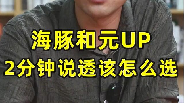 海豚和元UP2分钟说透该怎么选