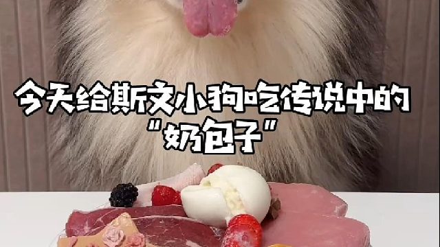 今天给斯文小孩吃“奶包子”