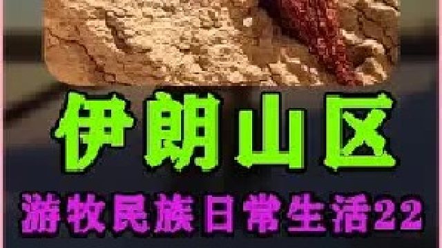 伊朗游牧民族日常生活 上山打水 (2)