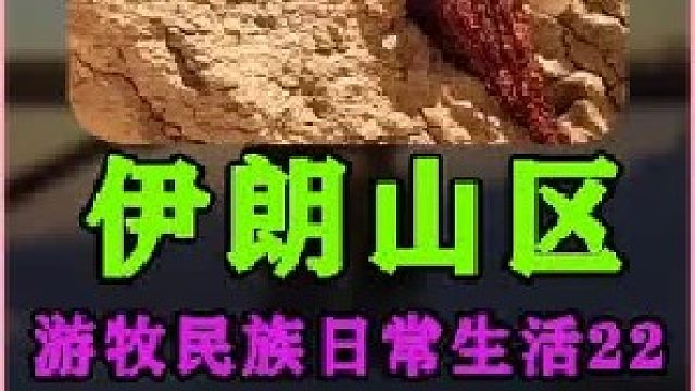 伊朗游牧民族日常生活 上山打水 (3)