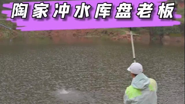 陶家冲水库盘老板，碰到一个很实在的大爷，不忍心下手太重，最后盘了两只大鹅