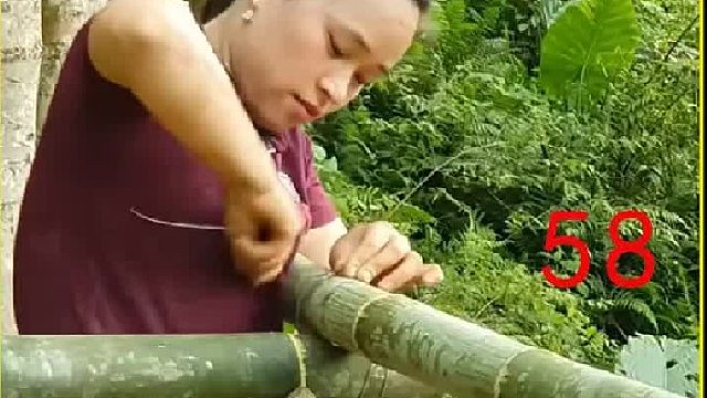 荒野建造： 收获野生姜 在集市上贩卖