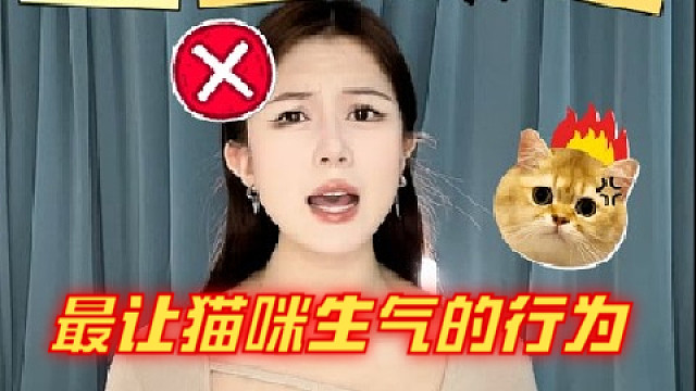 三种让猫咪恨之入骨的行为