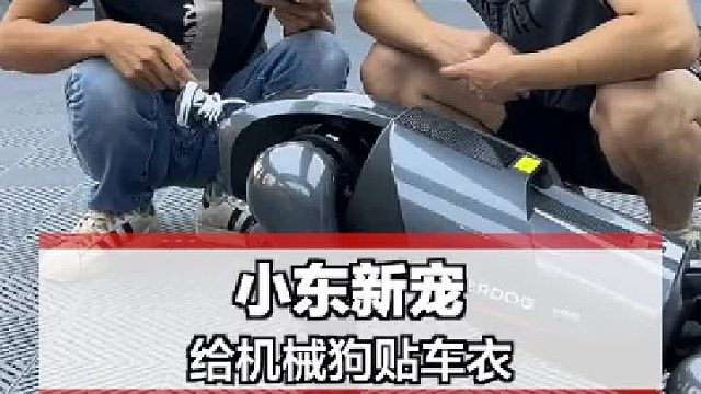 给小东的新宠贴个车衣