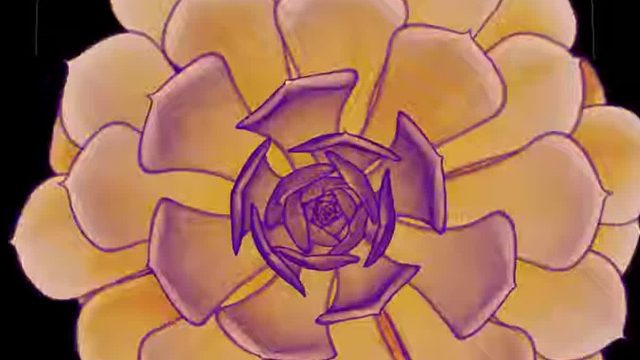 纳奥米科技naomi-ct-多肉CT彩超-桌面式CT-便携式CT-三维建模-台式显微CT-3D扫描