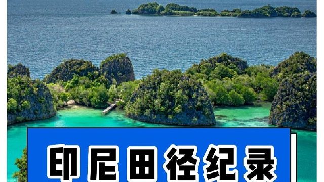 管你梅西，C罗还是裁判，来印尼足球联赛都得挨两脚