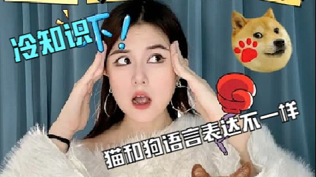 猫狗的语言差距有多大
