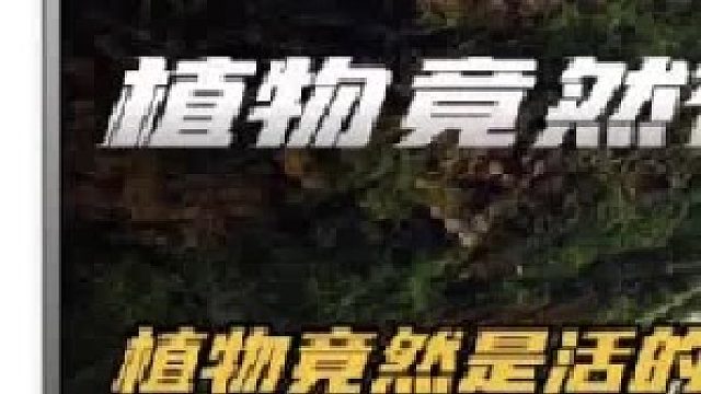 植物也会有意识，有感觉，有记忆吗？（上）