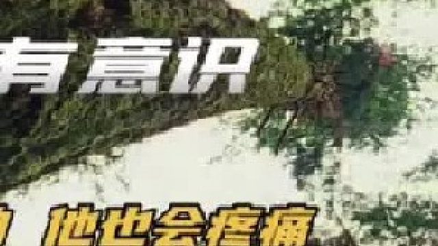 植物也会有意识，有感觉，有记忆吗？（中）