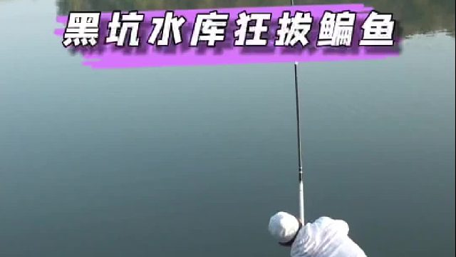 今天和40个钓友在黑坑水库一起同场竞技，看看能否成功上岸。