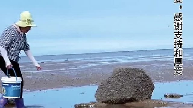 需要家人们的支持一下，点击看一下呗！鞠躬感谢！