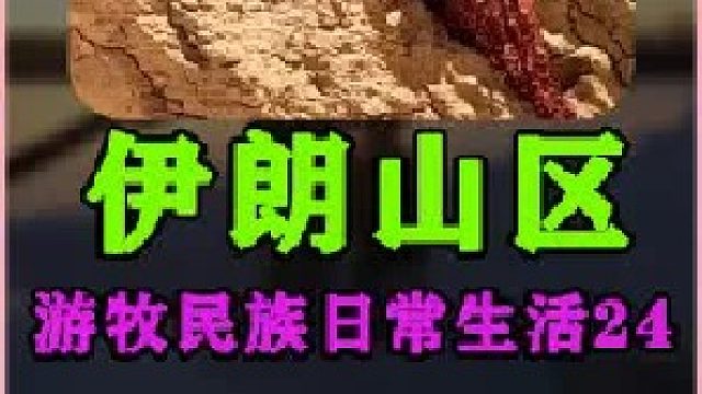伊朗游牧民族年轻母亲独自带着3个孩子的日常生活 (2)