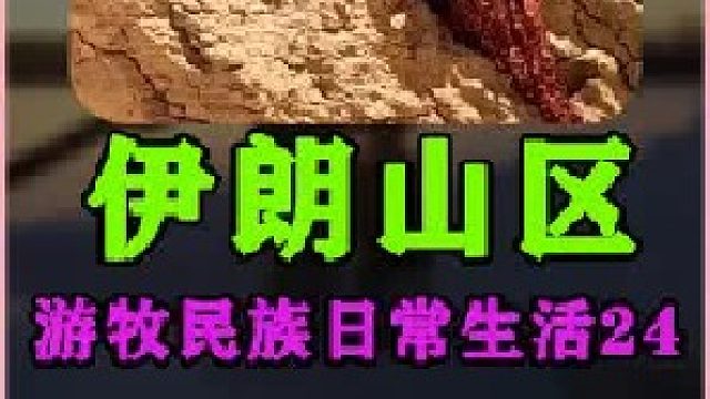 伊朗游牧民族年轻母亲独自带着3个孩子的日常生活 (3)