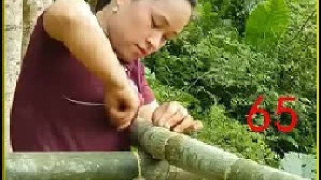 采摘洁白如玉的蘑菇   喂养小鸭子