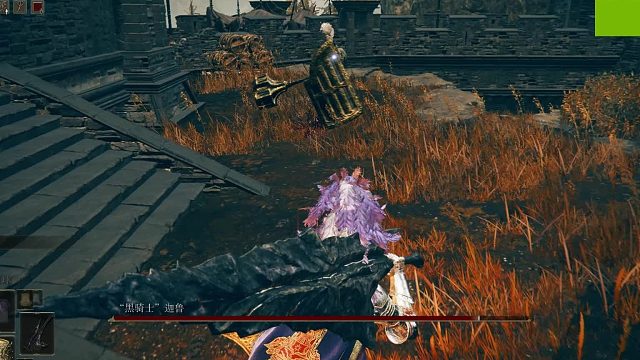 艾尔登法环-黄金树幽影-黑骑士“迦鲁”