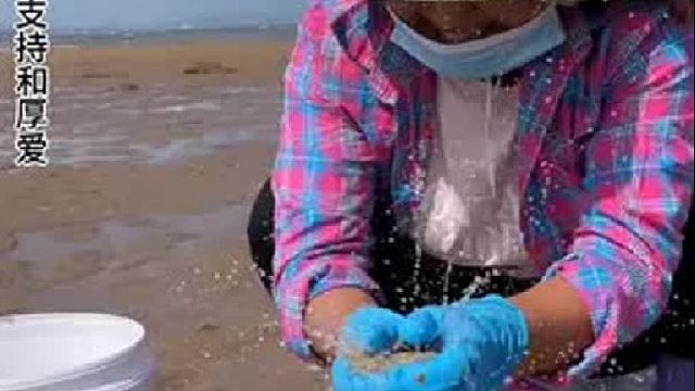 赶海赶海赶海啦