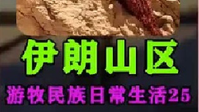 自然与人和谐共存的旋律 (2)