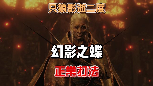 只狼影逝二度之蝴蝶夫人幻影之蝶正常打法攻略及教学分析