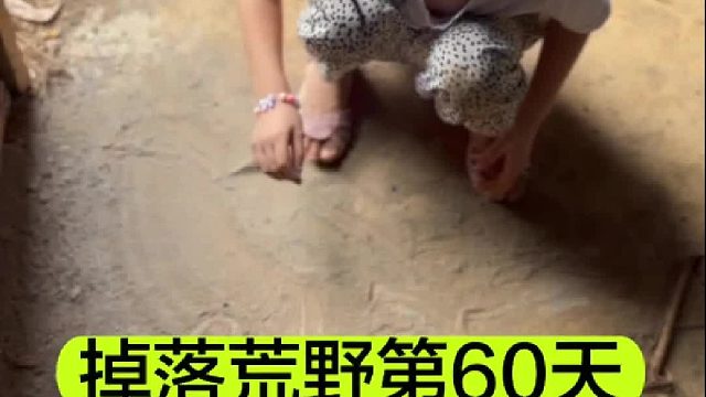 掉落荒野的第60天我第一次见识到了会耍无赖的小宝