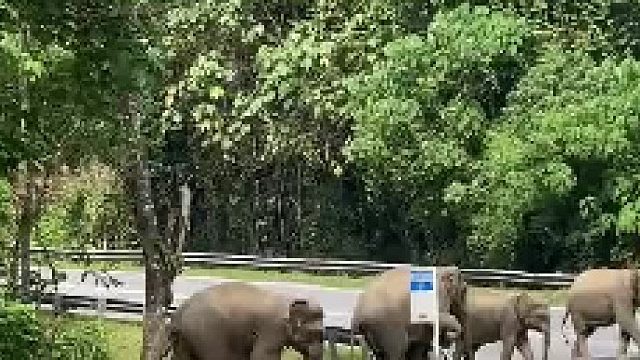 来自妈妈的温柔