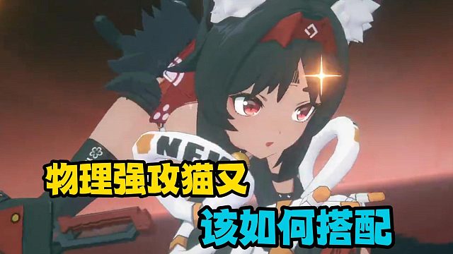 物理强攻猫又，该如何搭配？