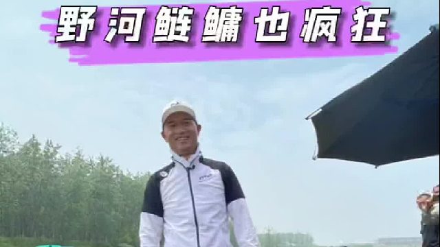 野河鲢鳙也疯狂，半天狂拉200斤。
