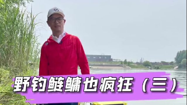 野钓鲢鳙也疯狂，挑战半天300斤。