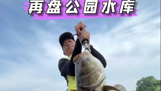 再回东阳公园小水库，狂拔巨型鲢鳙，晨练的大爷大妈都看呆了。