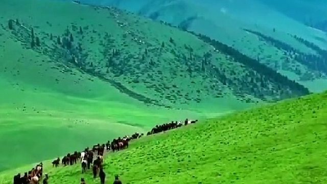 人群太吵了，我想去听听旷野的风！