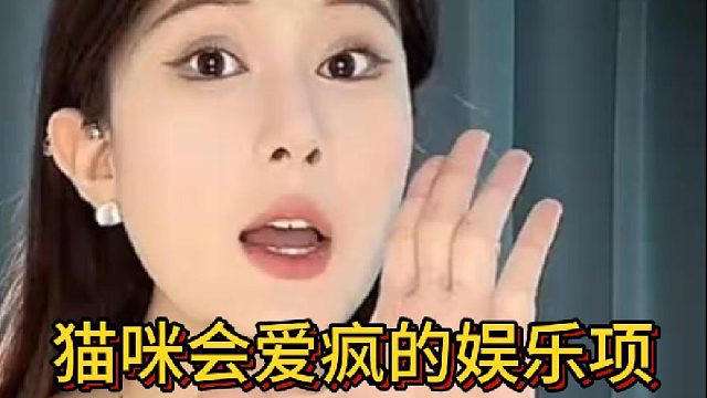 猫咪会爱疯的娱乐项目️这么神奇？