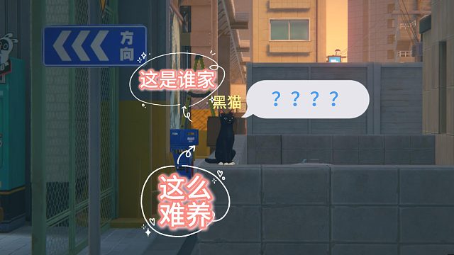 这是黑猫谁爱养谁养毁灭吧