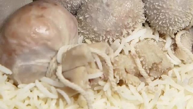 表哥的才华跟智商有得一拼啊！