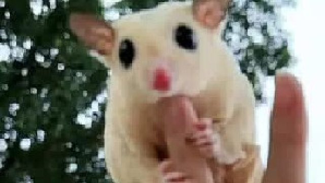 季节更换，总有新的故事值得期待。