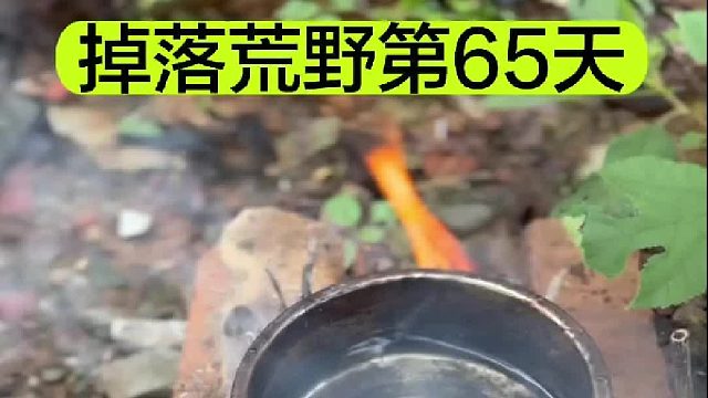 掉落荒野的第65天我们又要开始流浪了